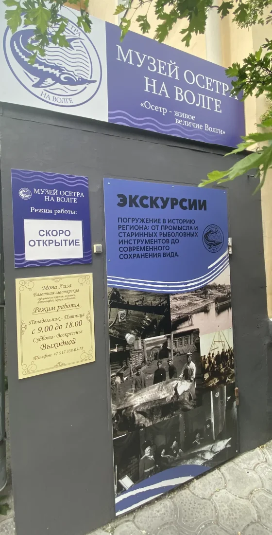 Музей осетра на Волге