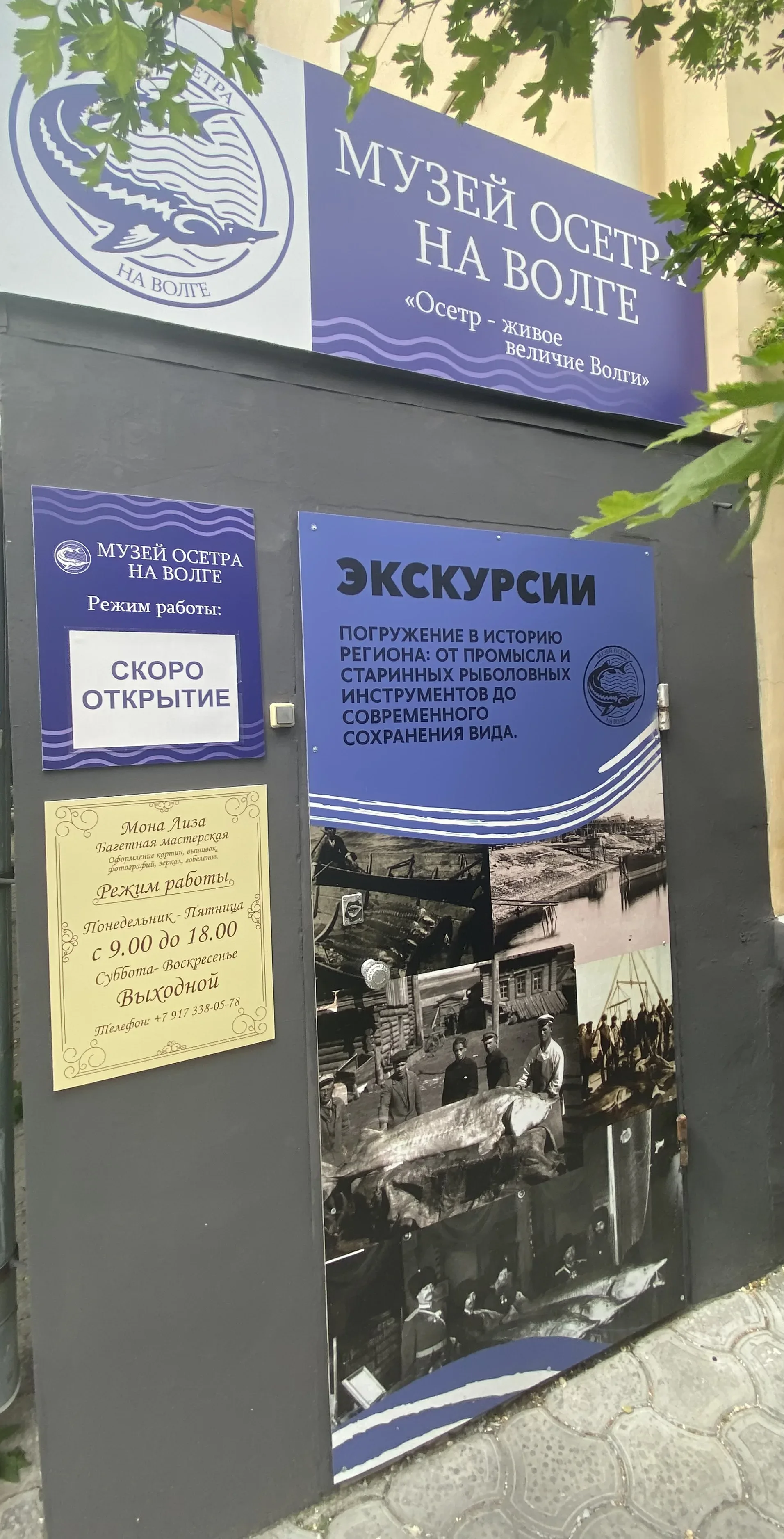 Музей осетра на Волге