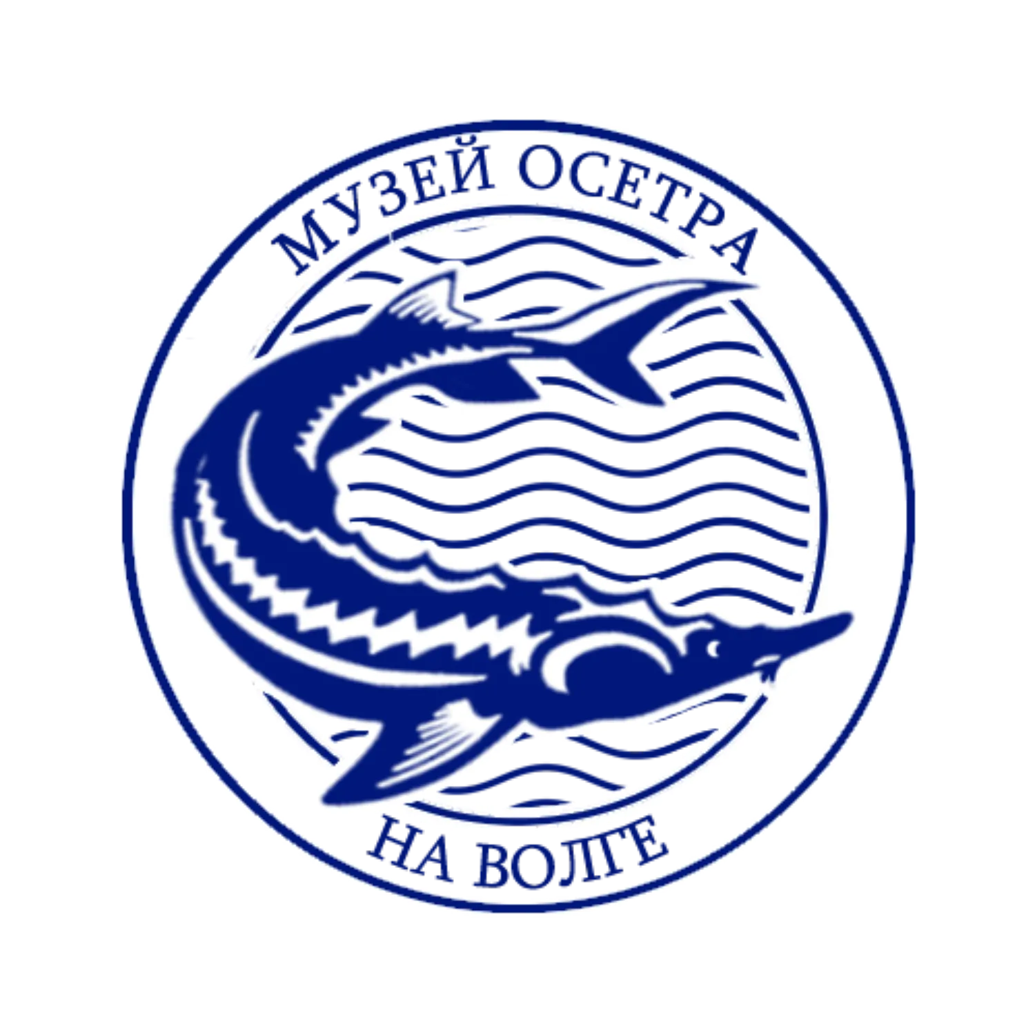 Музей Осетра